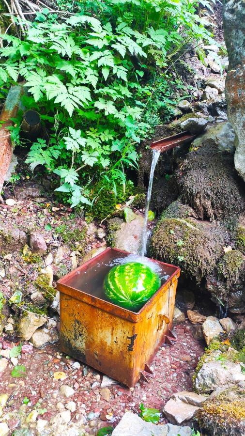 Privatni Smjestaj "Mratinje" Pension Plužine Buitenkant foto